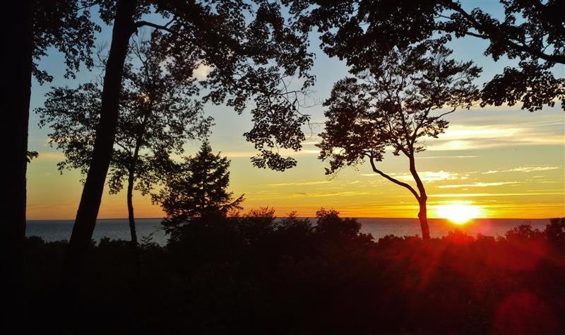 Pet-Friendly One Crow Cottage In Harbor Springs! Екстериор снимка